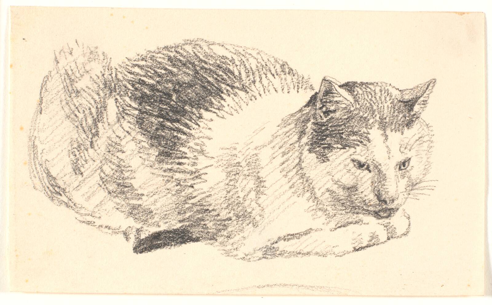 Liggende kat, Christen Købke, 1845-1846