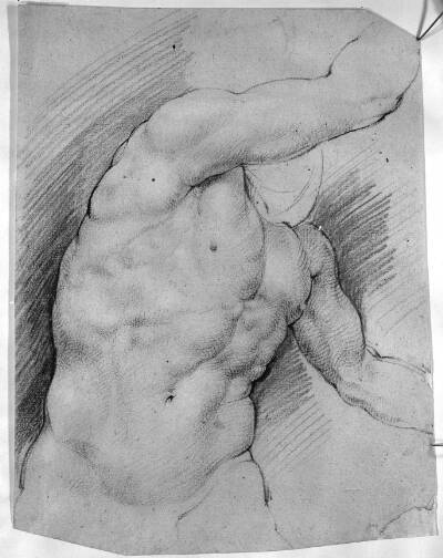 Galleren og hans hustru (gallerens torso). Efter en antik skulptur