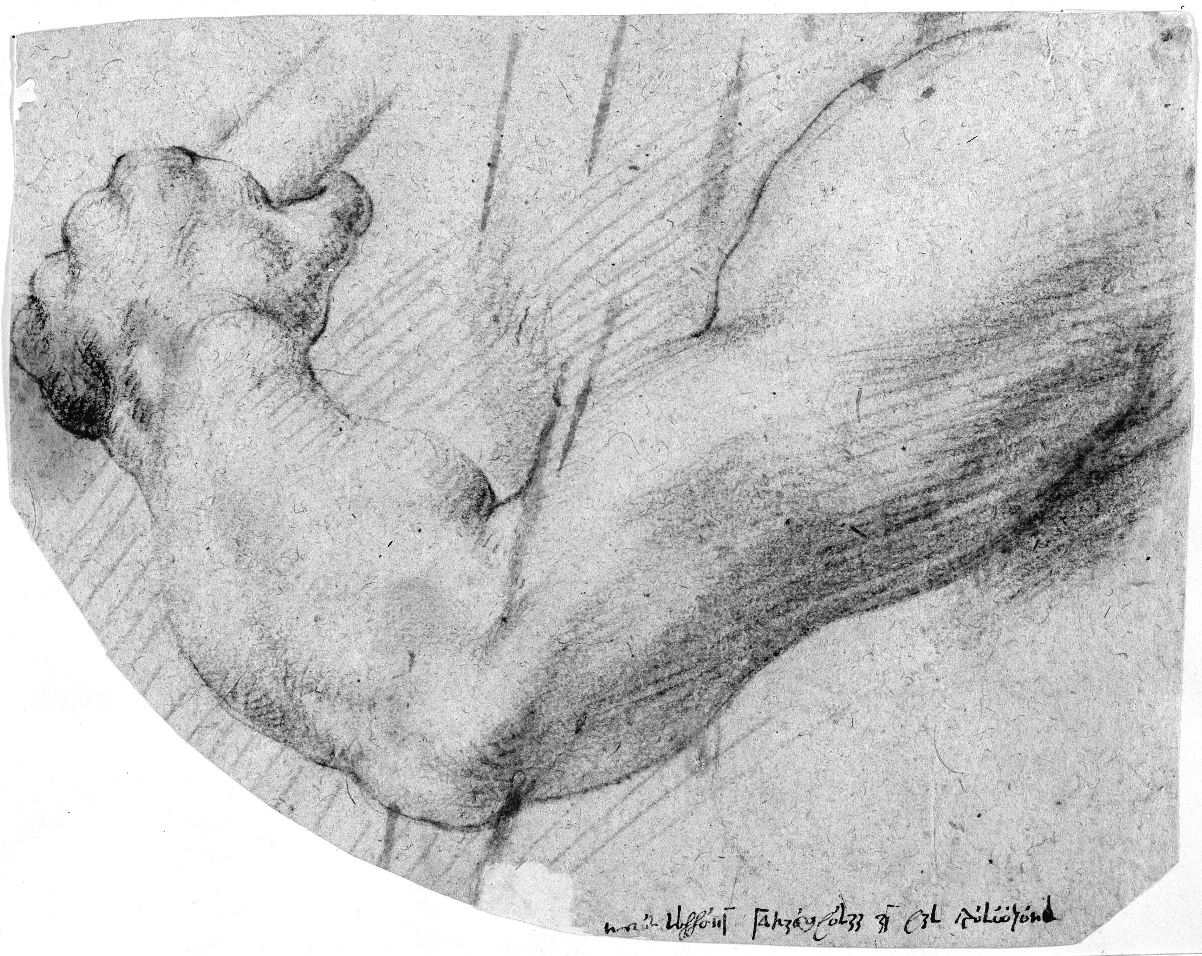 Studie af en mands venstre arm, Willem Panneels, 1628-1630