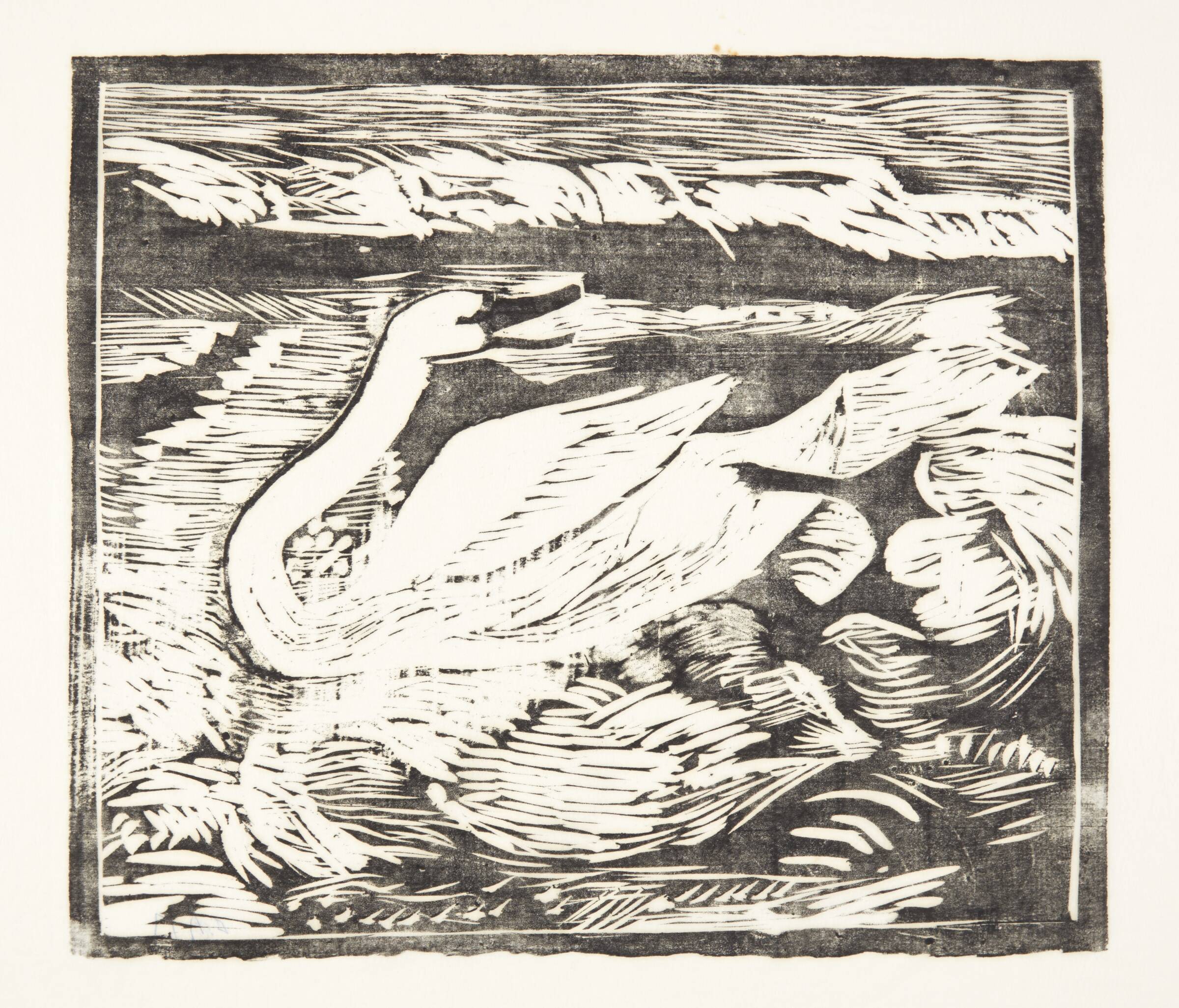 En svømmende svane, Olivia Holm-Møller, 1875-1970