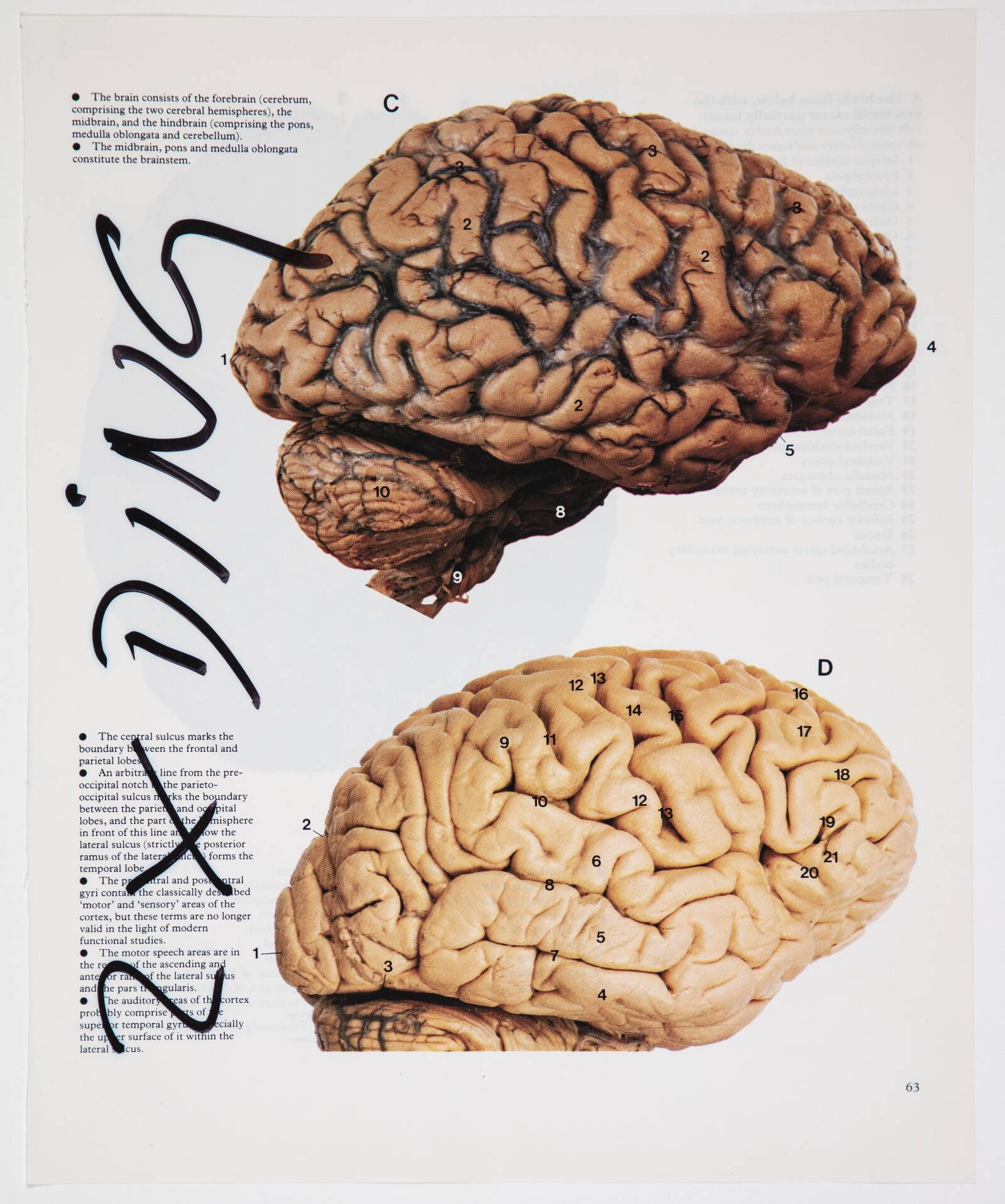 2 x Ding, Christian Lemmerz, 1994