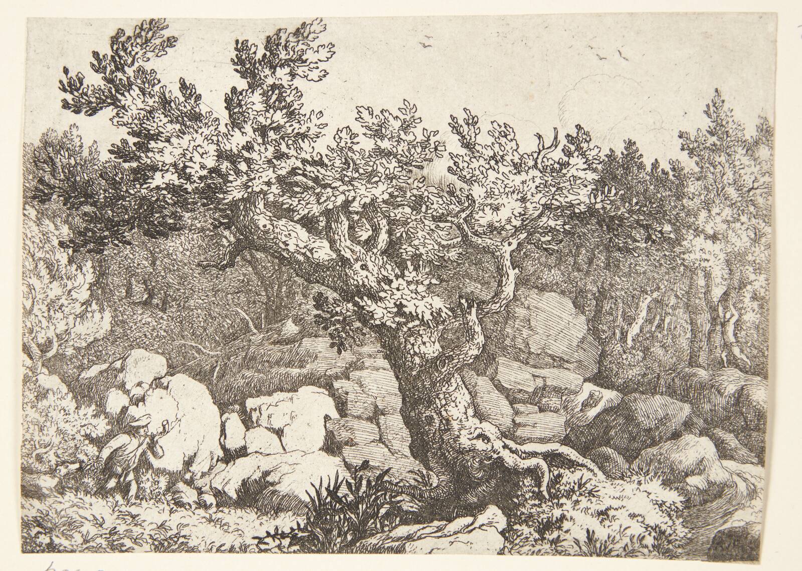 Jæger ved et stort træ, Allaert van Everdingen, 1621-1675