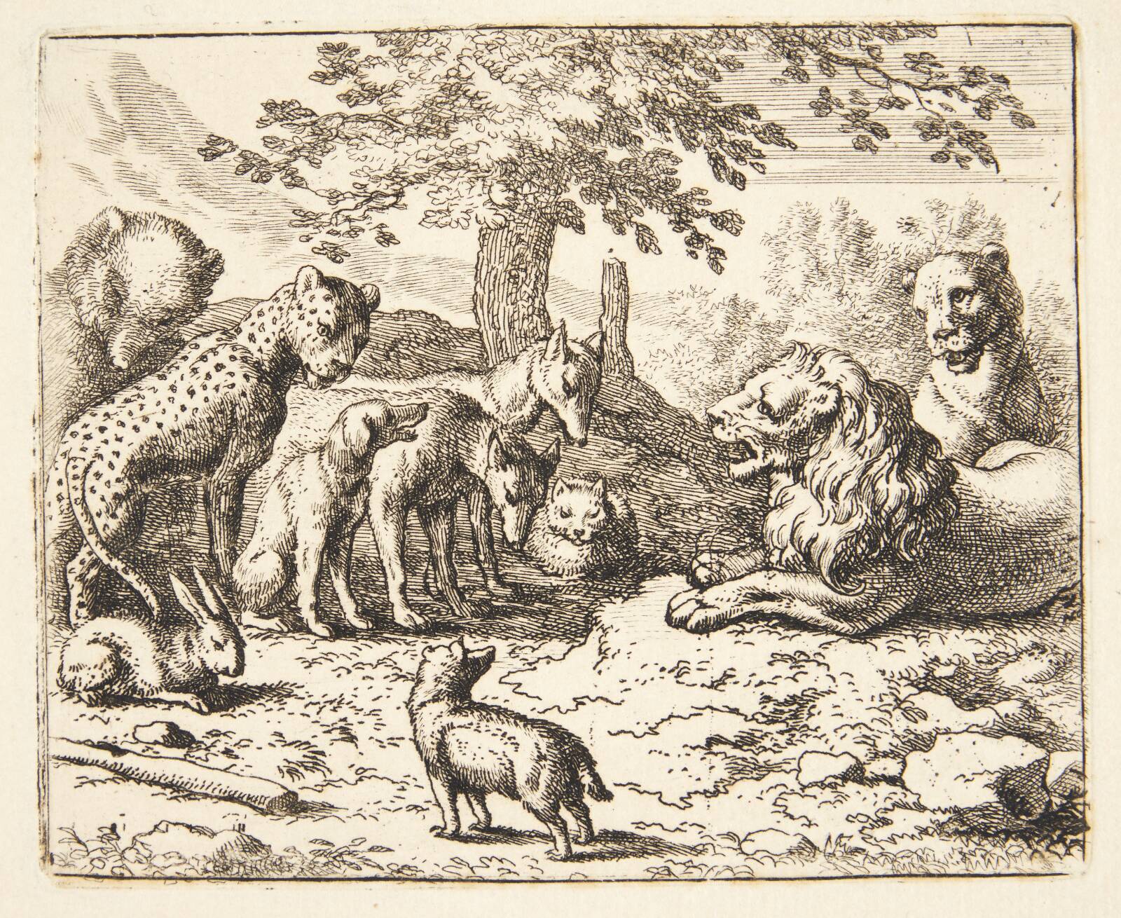Løvens rådsforsamling, Allaert van Everdingen, 1621-1675