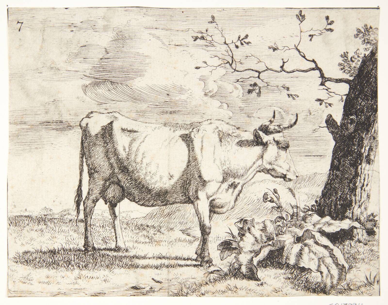 Stående ko, vendt mod højre, Marcus de Bye, 1638-1690