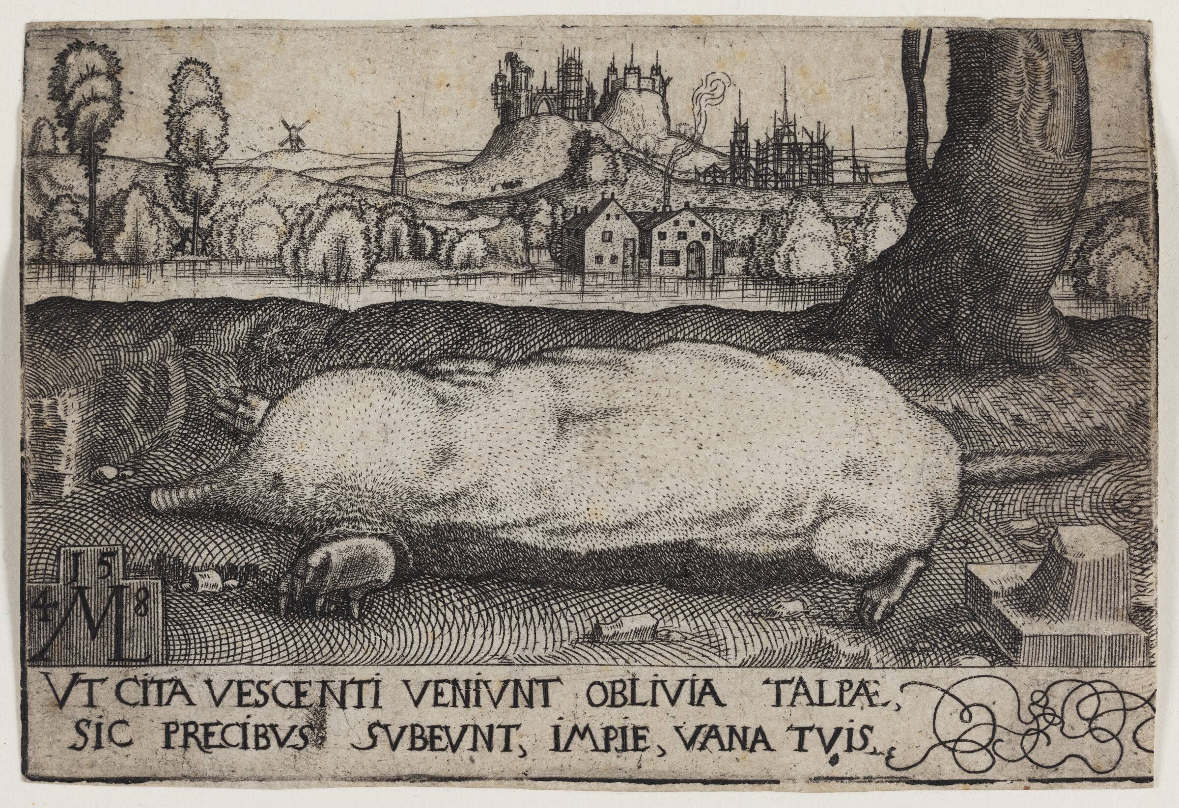 Muldvarpen, Melchior Lorck, 1548