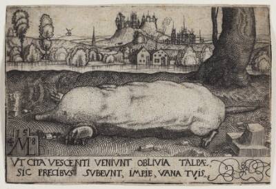 Muldvarpen