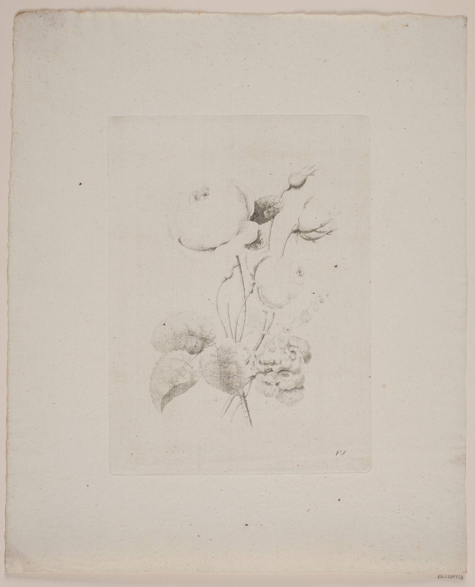 Blomstermotiv, Frederik Schepelern, 1796-1883