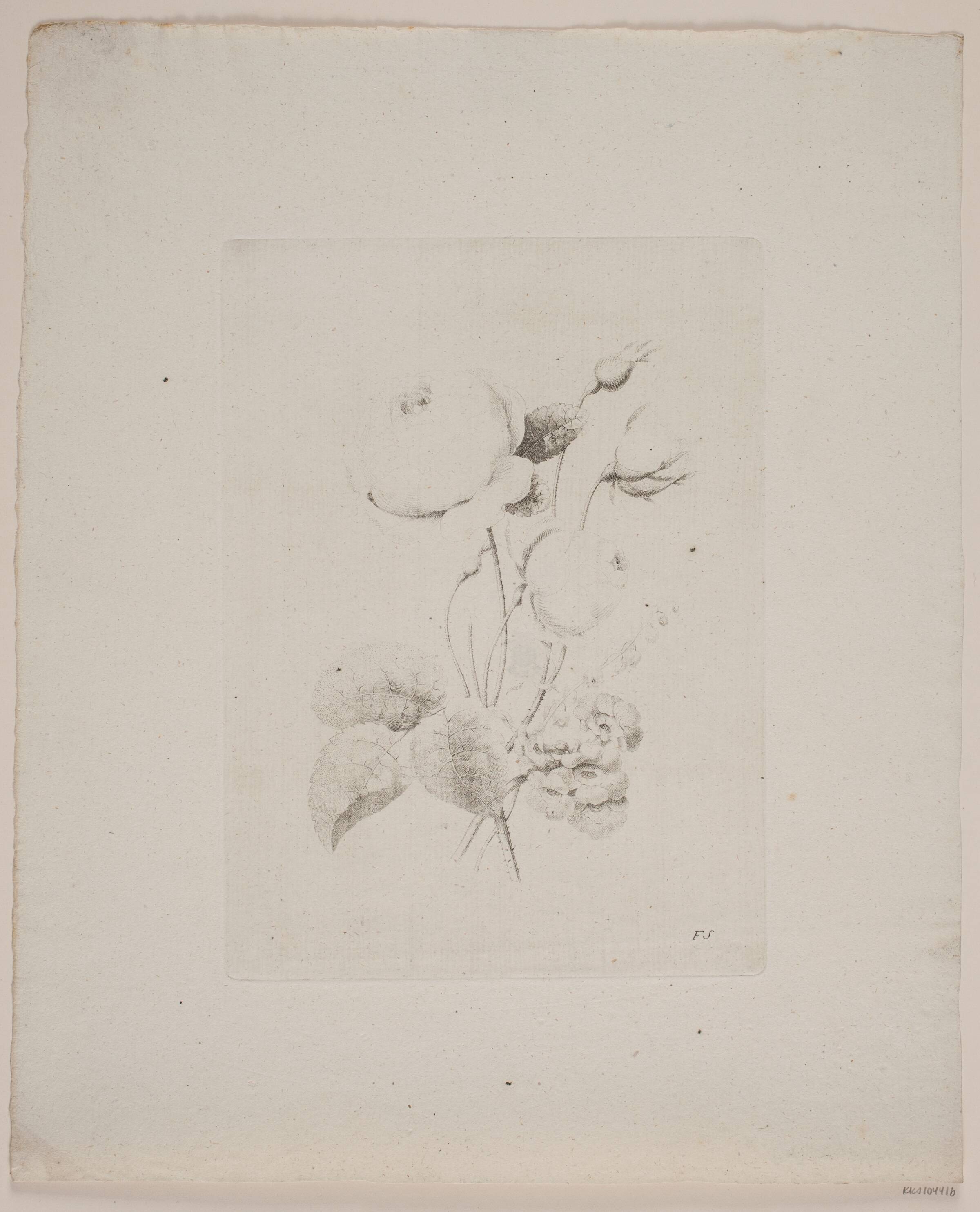 Blomstermotiv, Frederik Schepelern, 1796-1883
