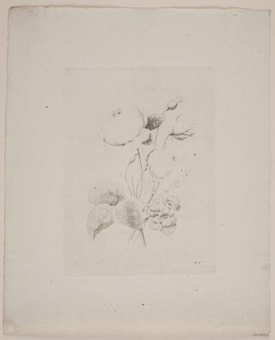 Blomstermotiv