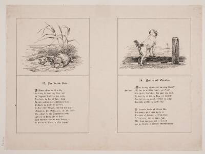 Den dræbte and; Hunden ved stranden