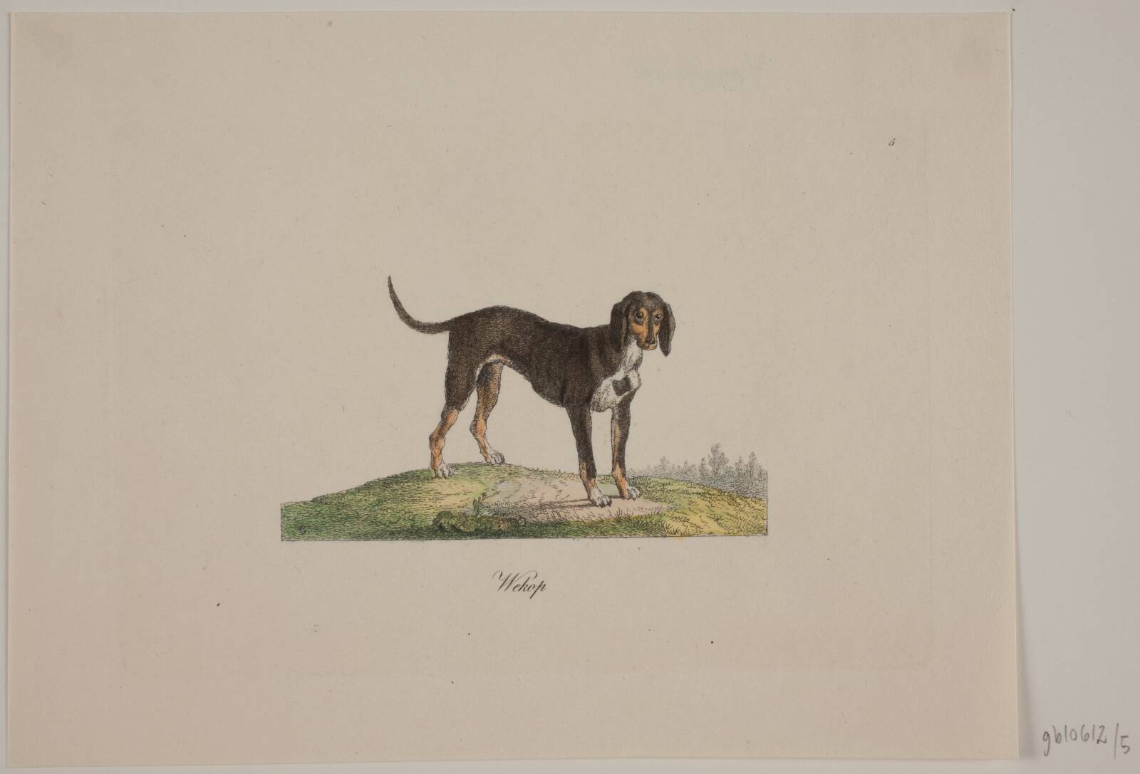 Wekop, Христиан Давид Гебауэр, 1821