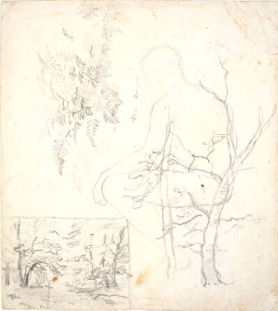 Studieblad med skovbillede, træer, planter og figur