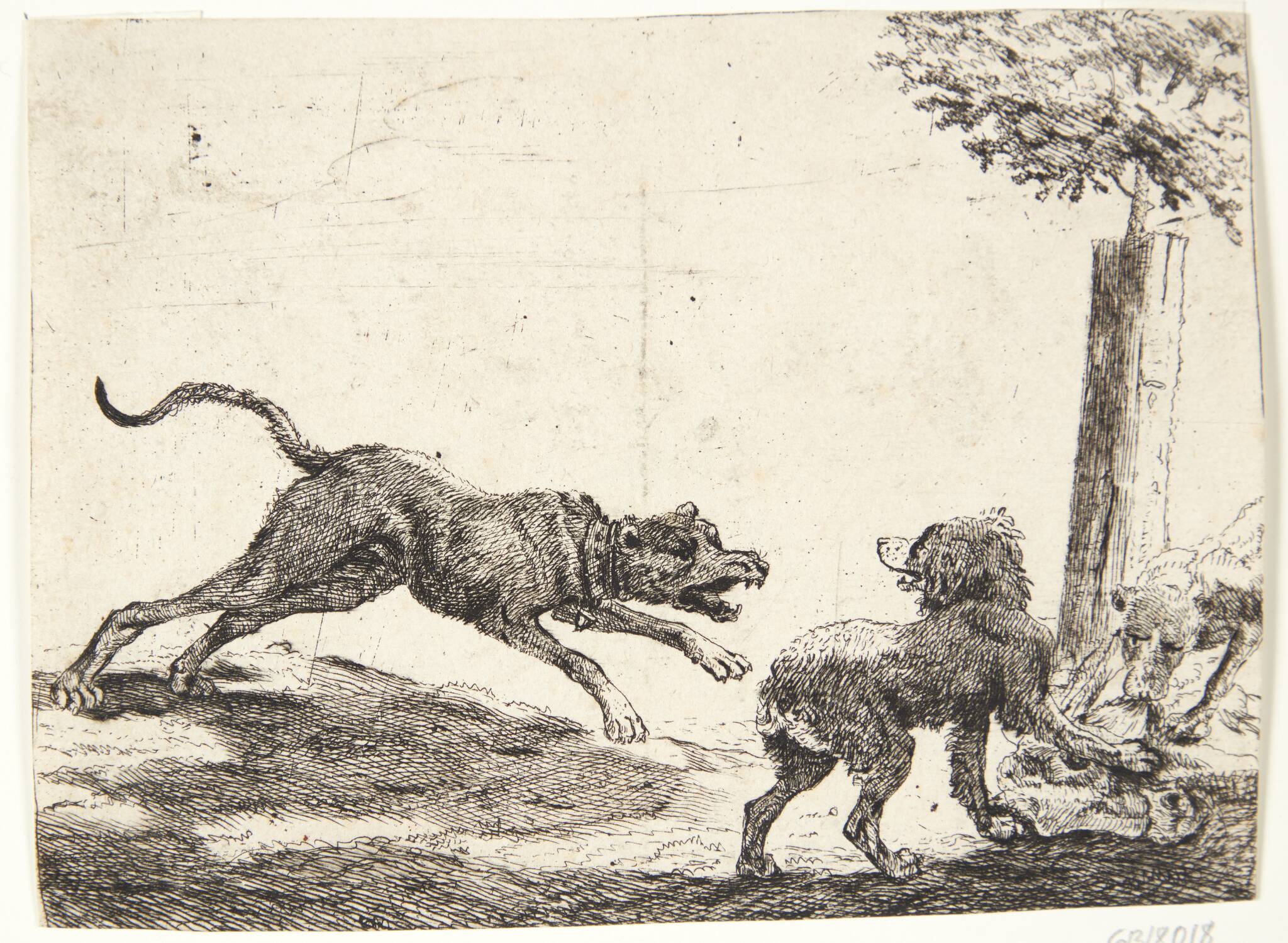Tre hunde med et ådsel, 1654, Paulus van Hillegaert (II) | Open