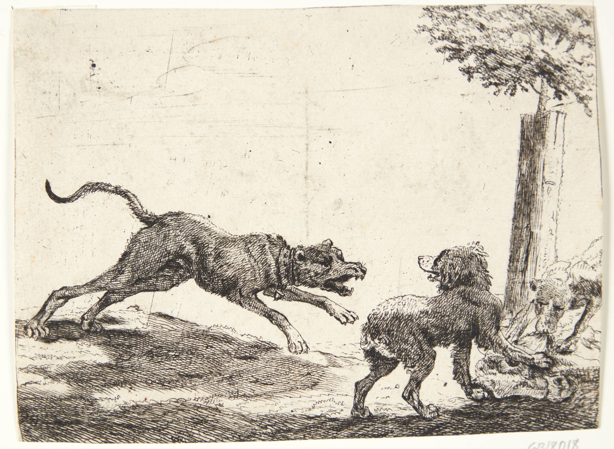 Tre hunde med et ådsel, Paulus van Hillegaert, 1654
