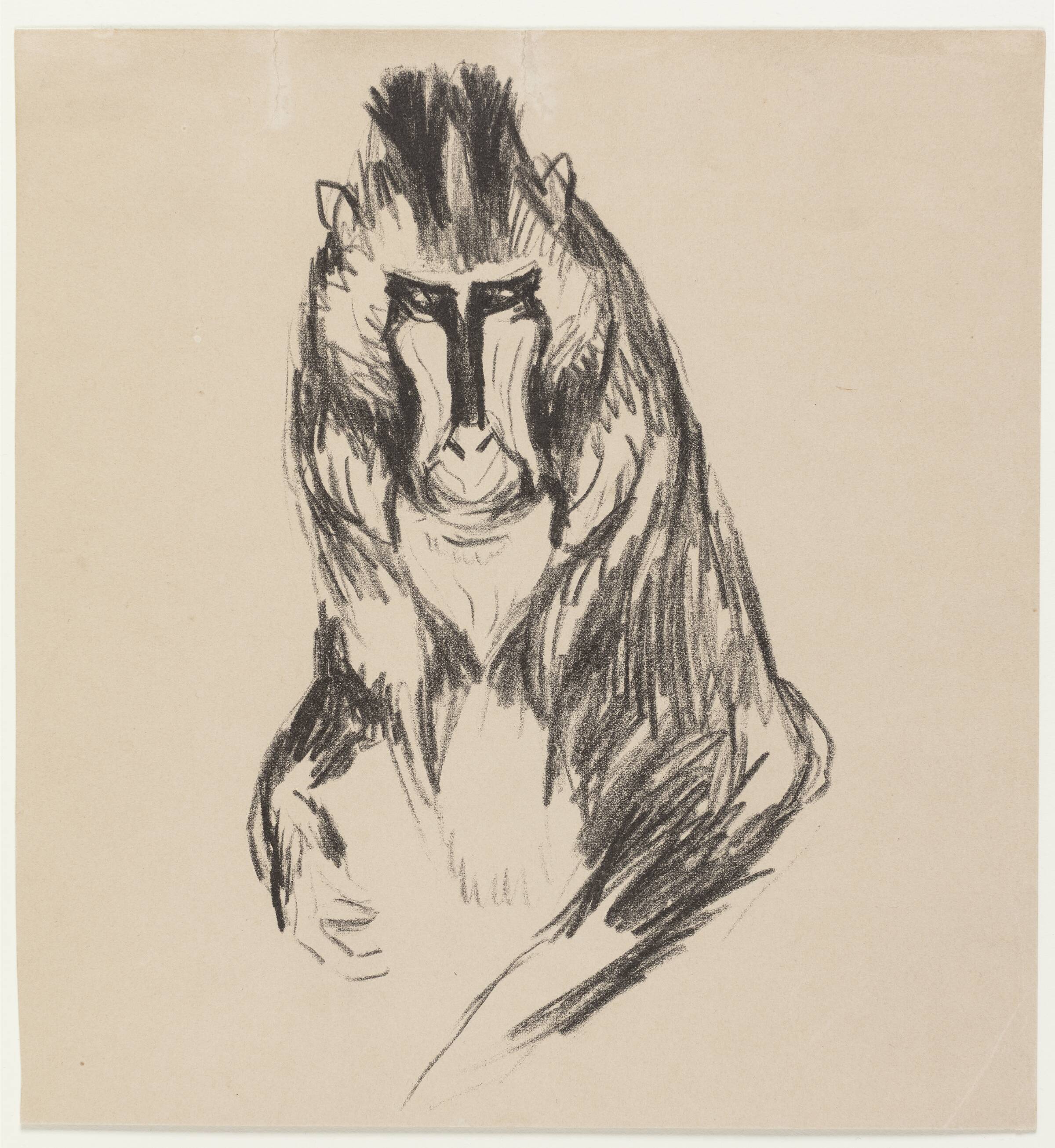 Mandril, Edvard Munch, 1908-1909