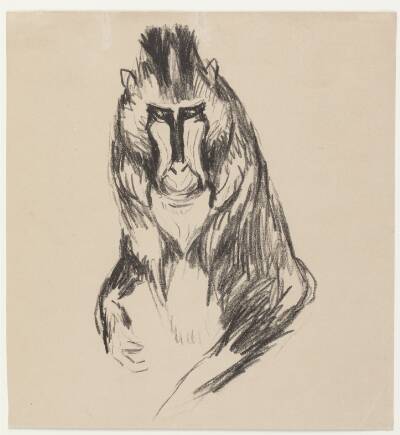 Mandril