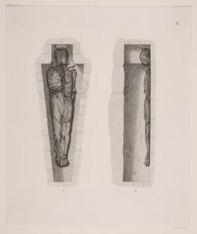 "Kongegravene i Ringsted Kirke". Planche X