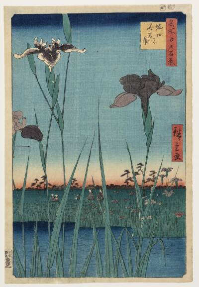 Horikiri irishave. Nr. 65 (Horikiri no hanashōbu)