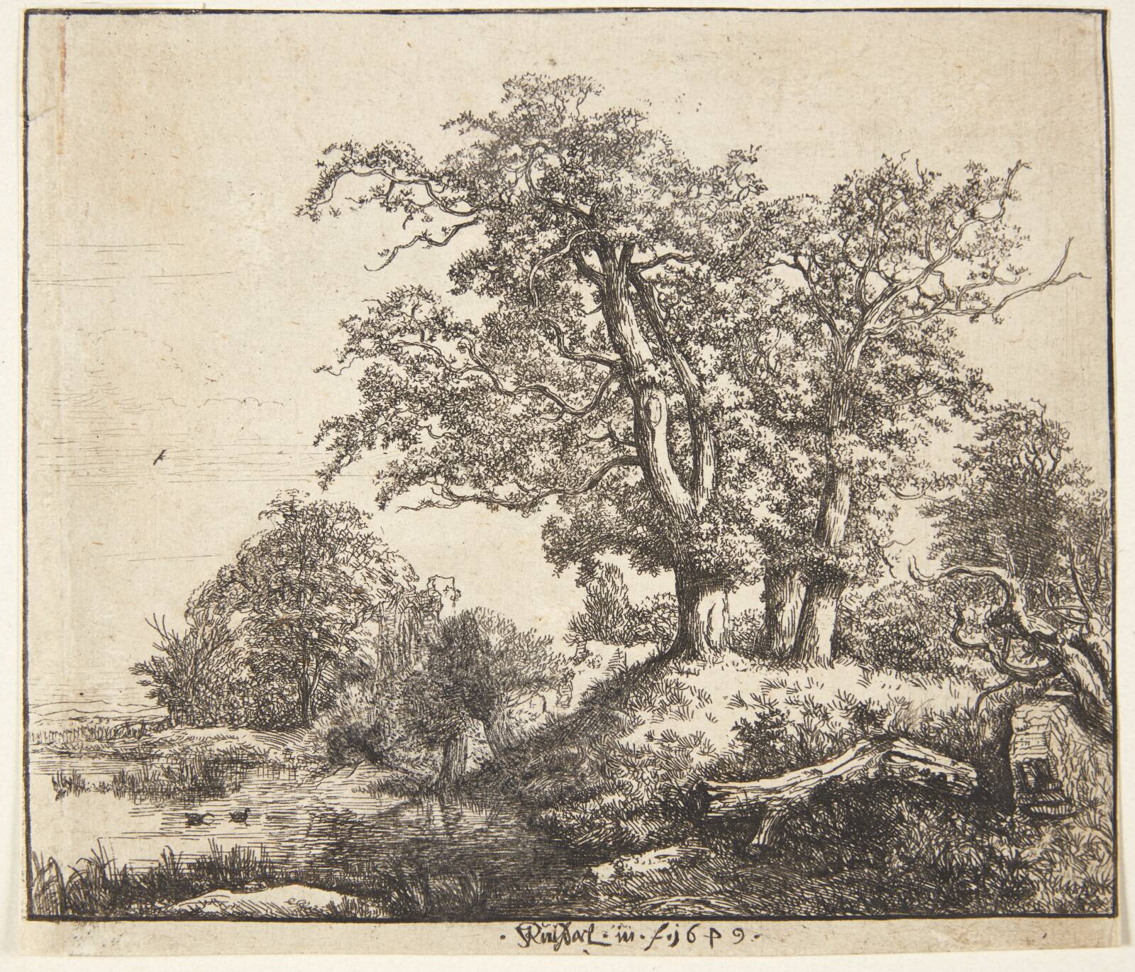 Tre egetræer, Jacob Isaacksz. van Ruisdael, 1649