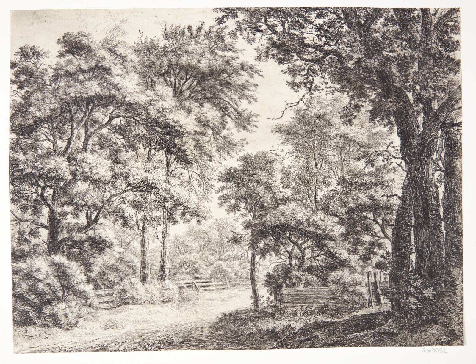 Skovvej, Anthonie Waterloo, 1610-1690