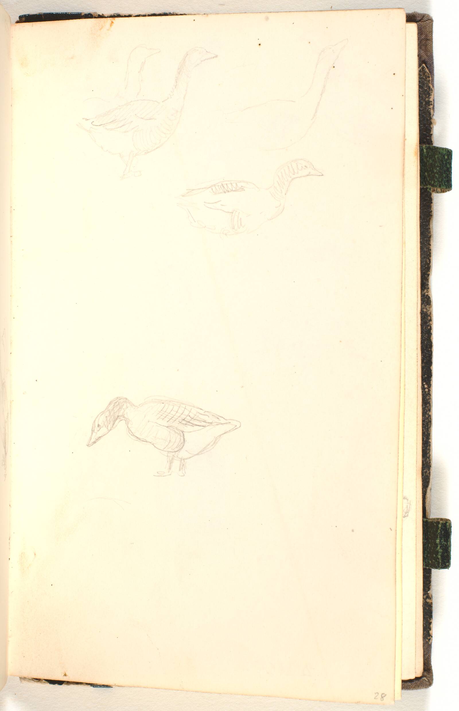 Fem ænder, P.C. Skovgaard, 1865