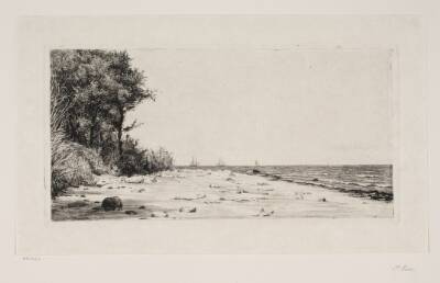 Fra Sjællands nordkyst. Hornbækplantagen