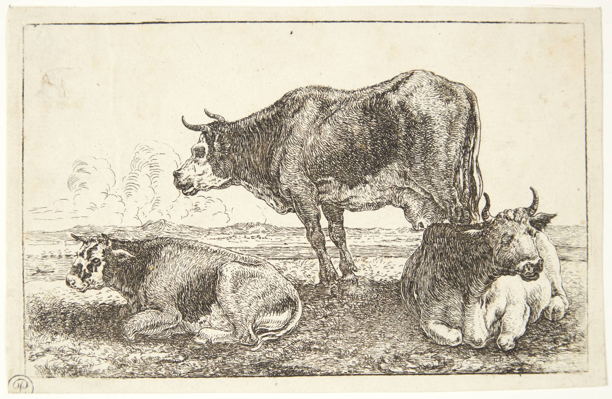 Tre køer