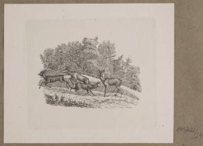 Illustration til O. Specter, "Fabler for Børn"