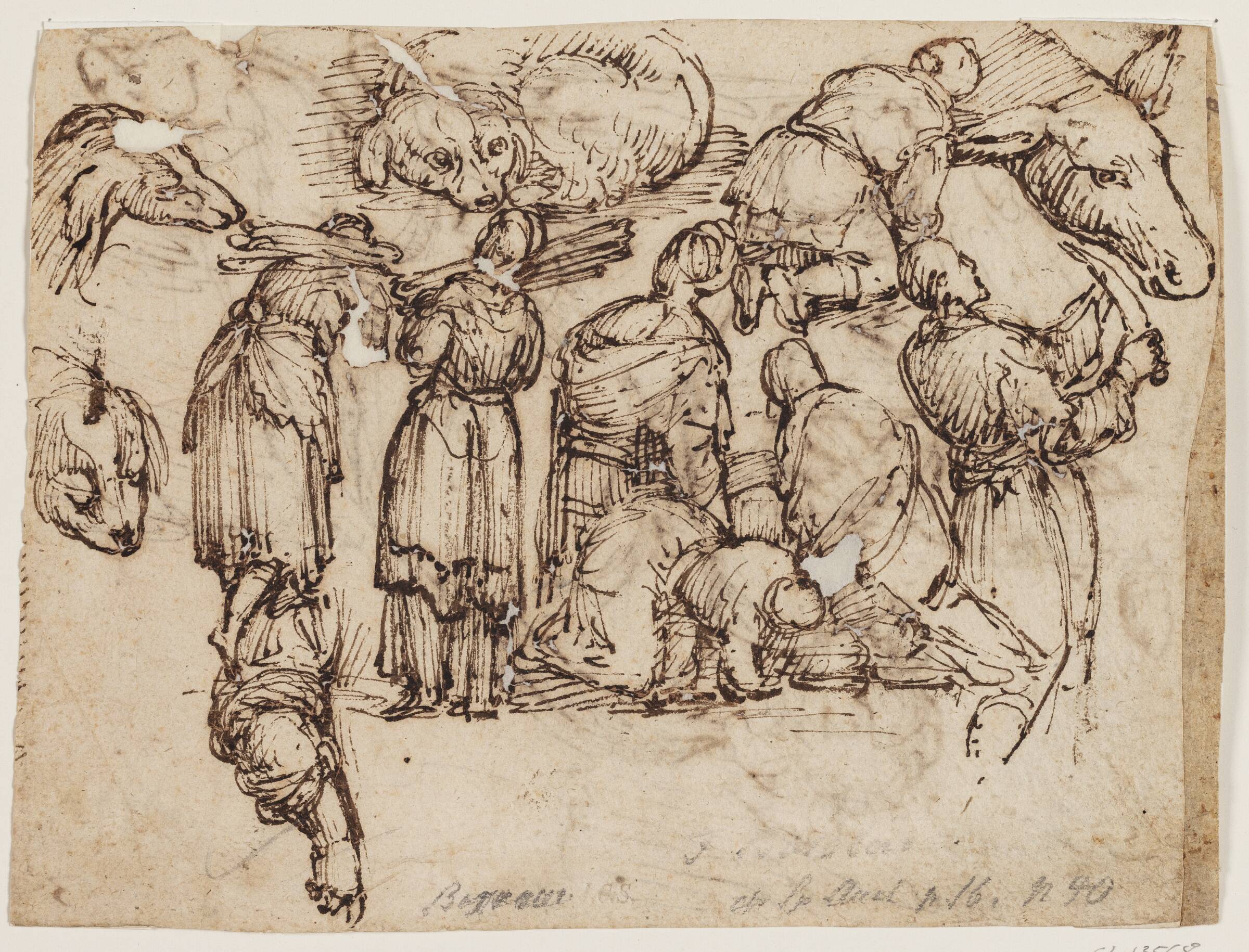 Diverse studier til i alt 7 personer. Bl.a. til kvinder, der bærer knipper, og til en mand med en kniv, samt til et æsels- og to hundehoveder og en liggende hund, Giulio Cesare Procaccini, 1570-1625