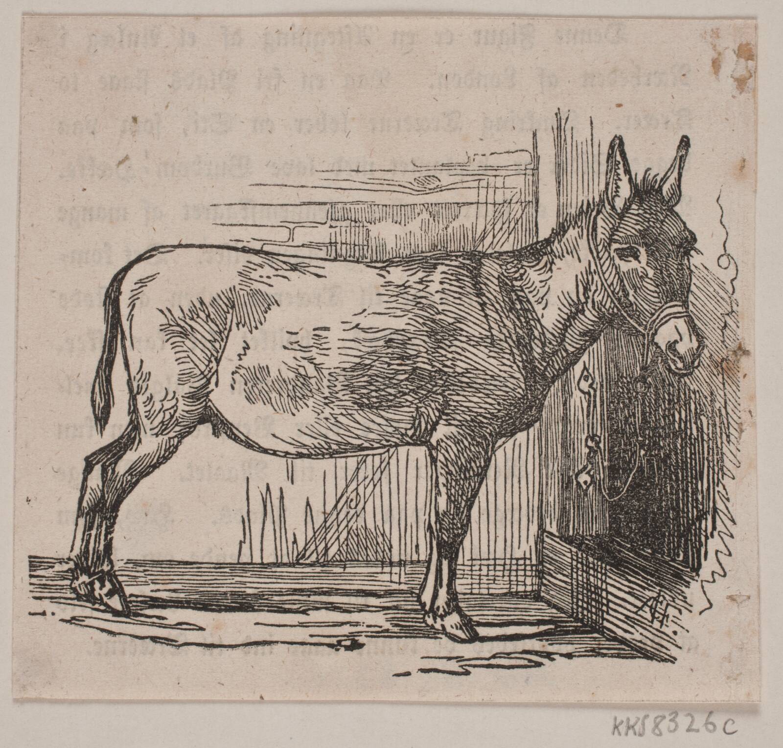 Æsel, Andreas Flinch, 1840-1843