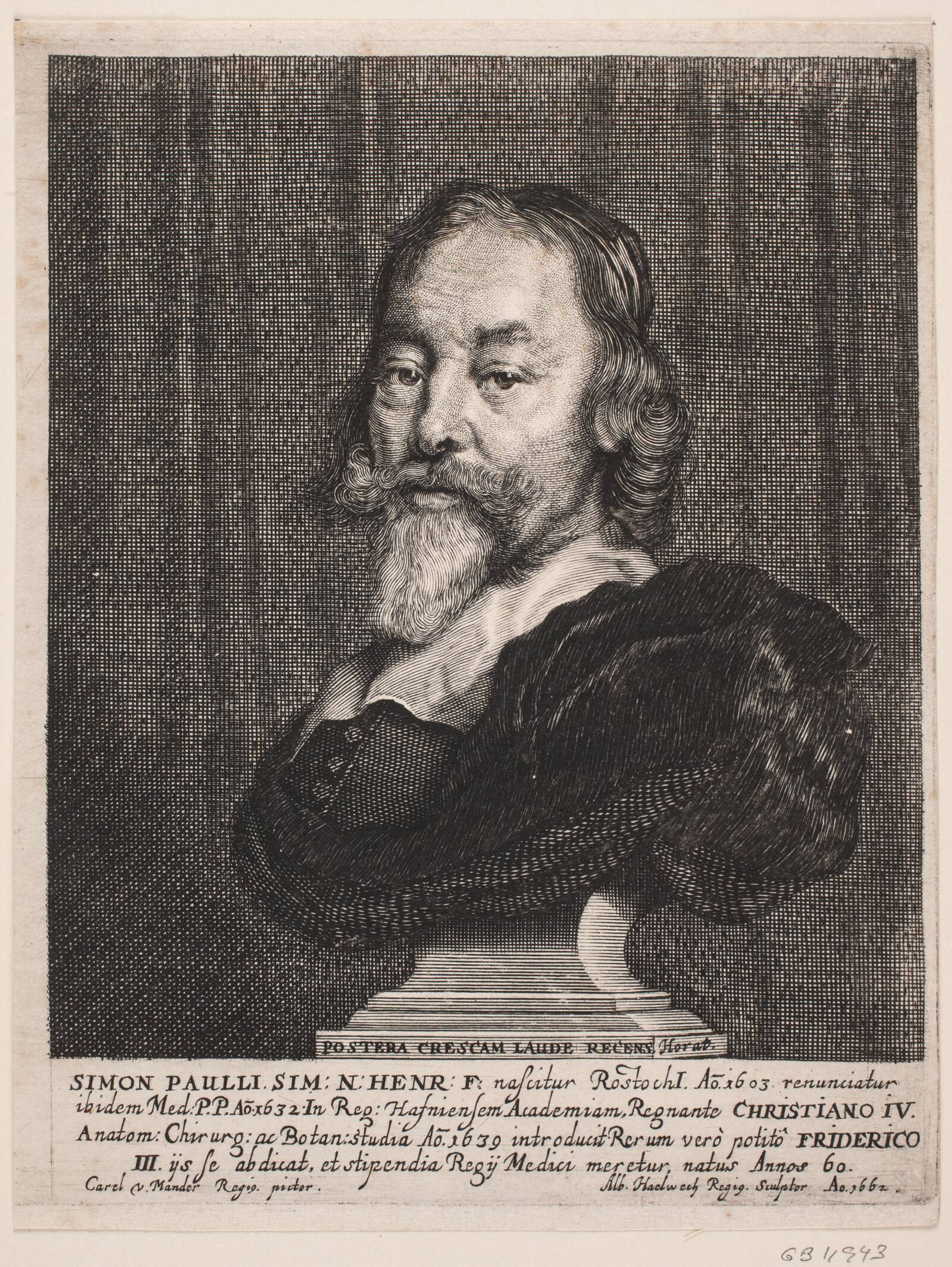 Simon Paulli, Albert Haelwegh, 1662
