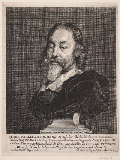 Simon Paulli