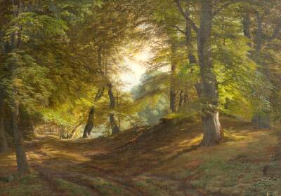 Det indre af en skov. Fra Præstevangen ved Frederiksborg