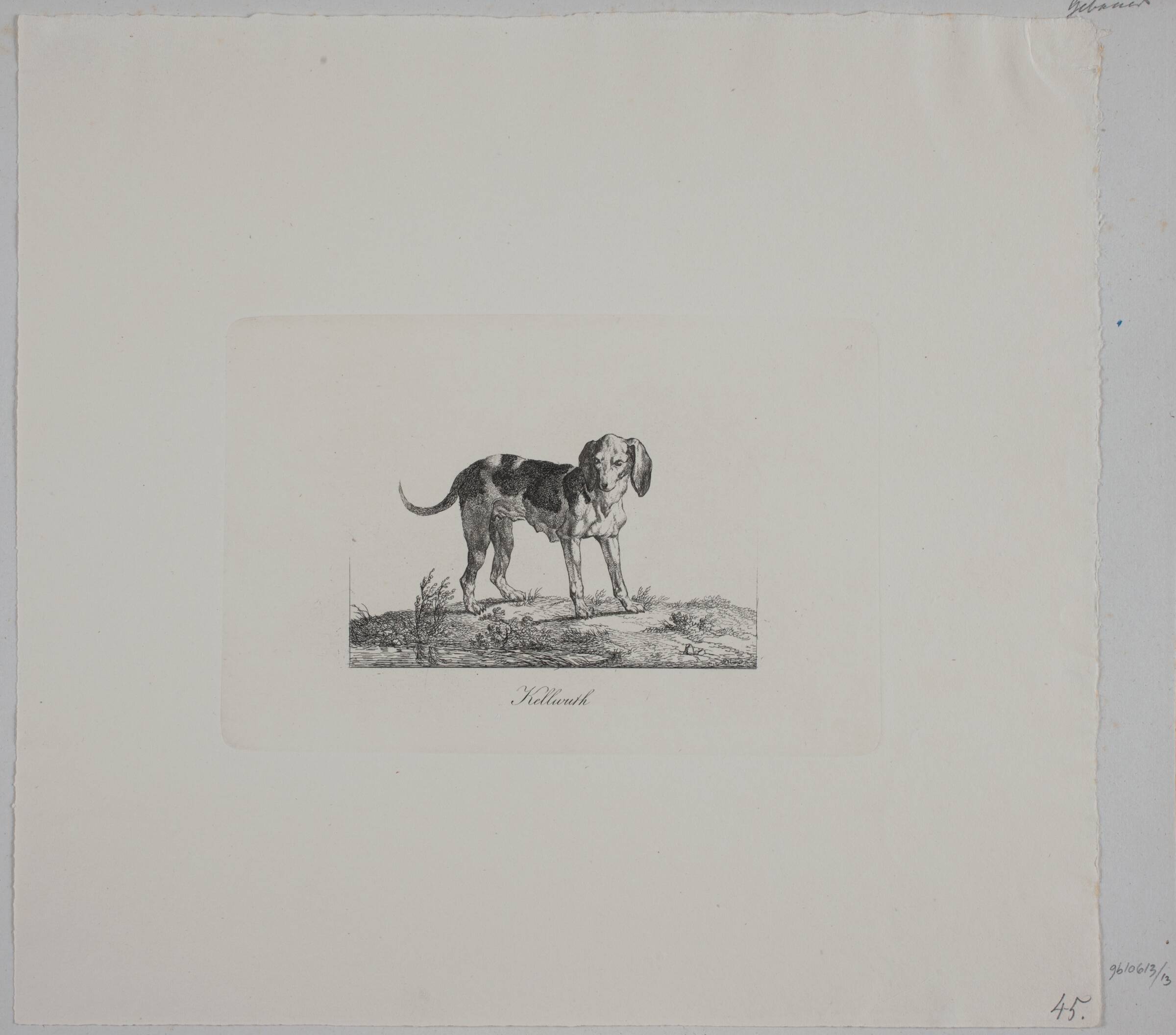 Kellwuth, Christian David Gebauer, 1821