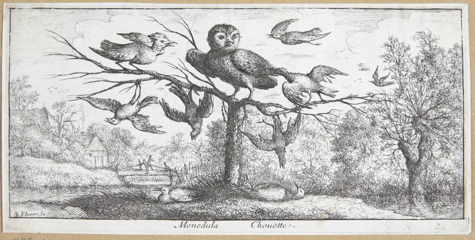 Uglen (Monedula), Albert Flamen, 1620-1669