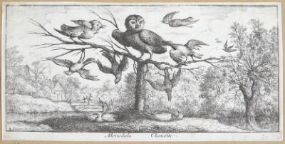 Uglen (Monedula)
