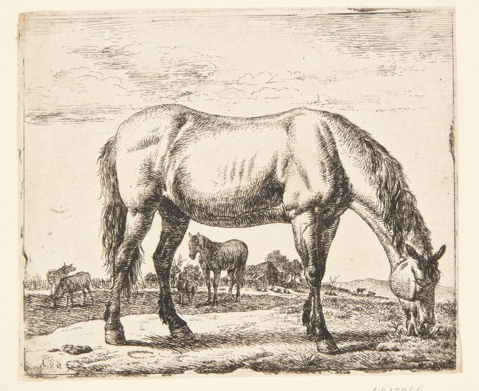 Græssende hest, Adriaen van de Velde, 1636-1672