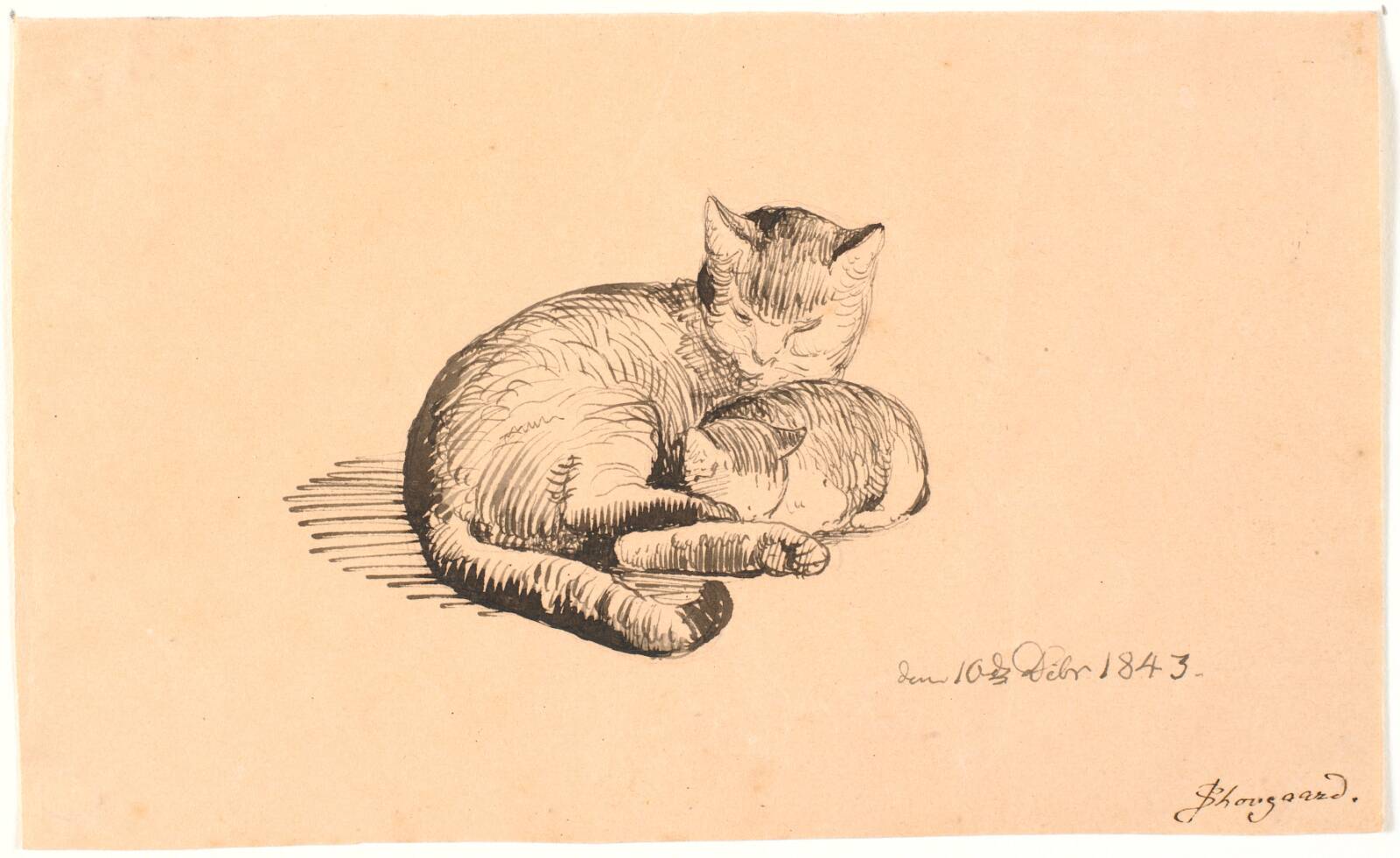 Liggende kat med sin killing., P.C. Skovgaard, 1843