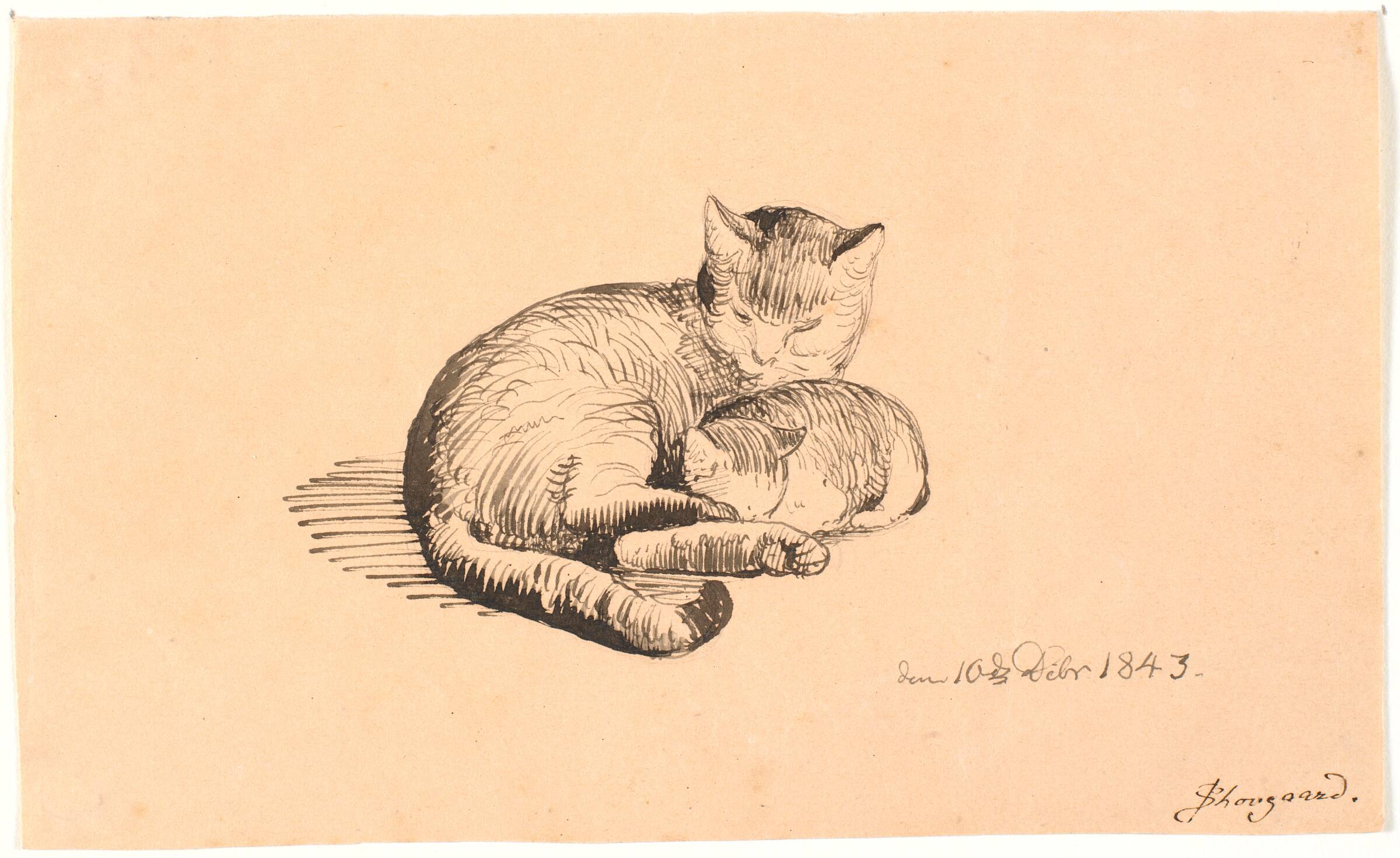 Liggende kat med sin killing., P.C. Skovgaard, 1843