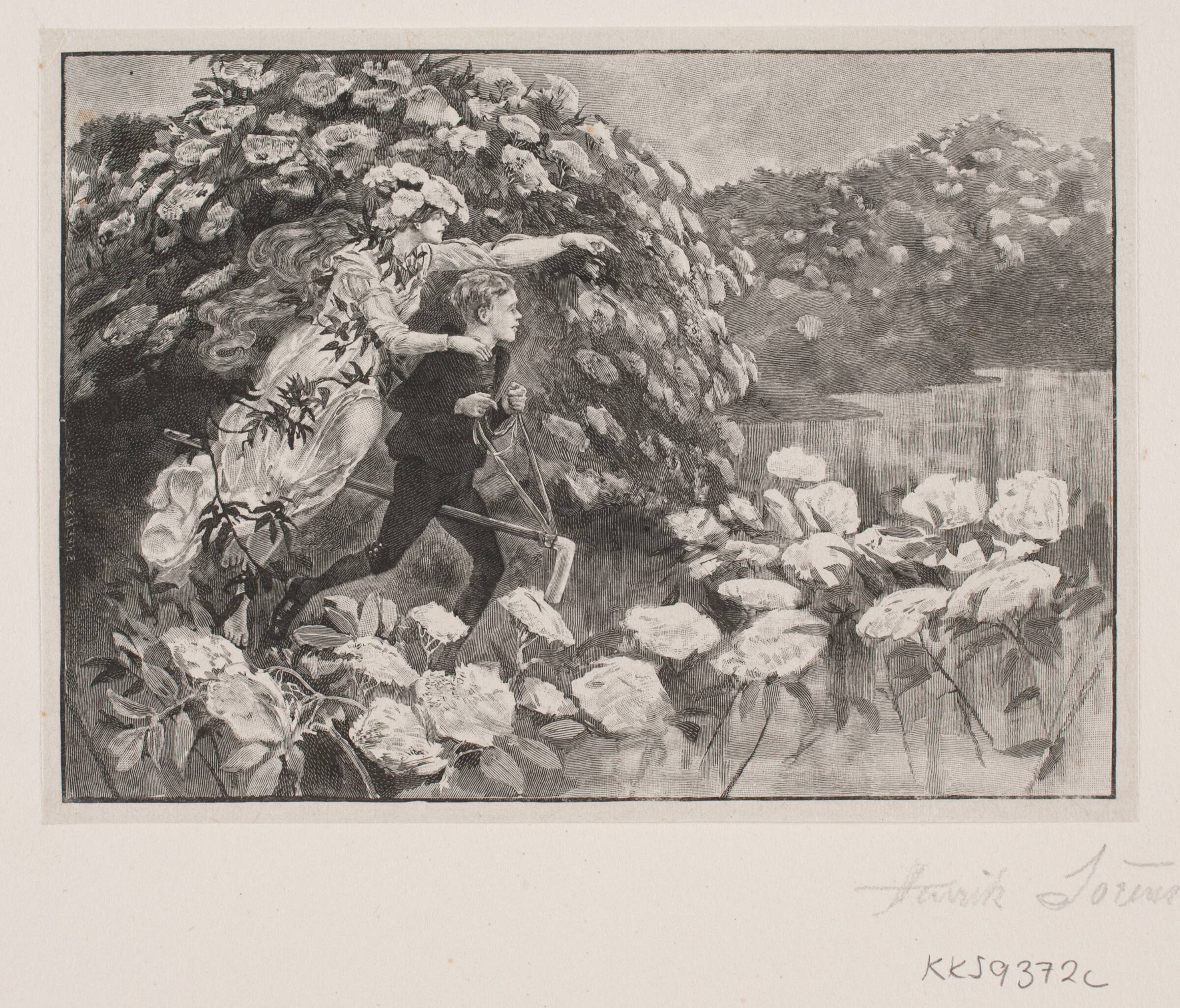 Illustration til H. C. Andersen: "Hyldemor", Henrik Arnold Hamilkar Sørensen, 1864-1944