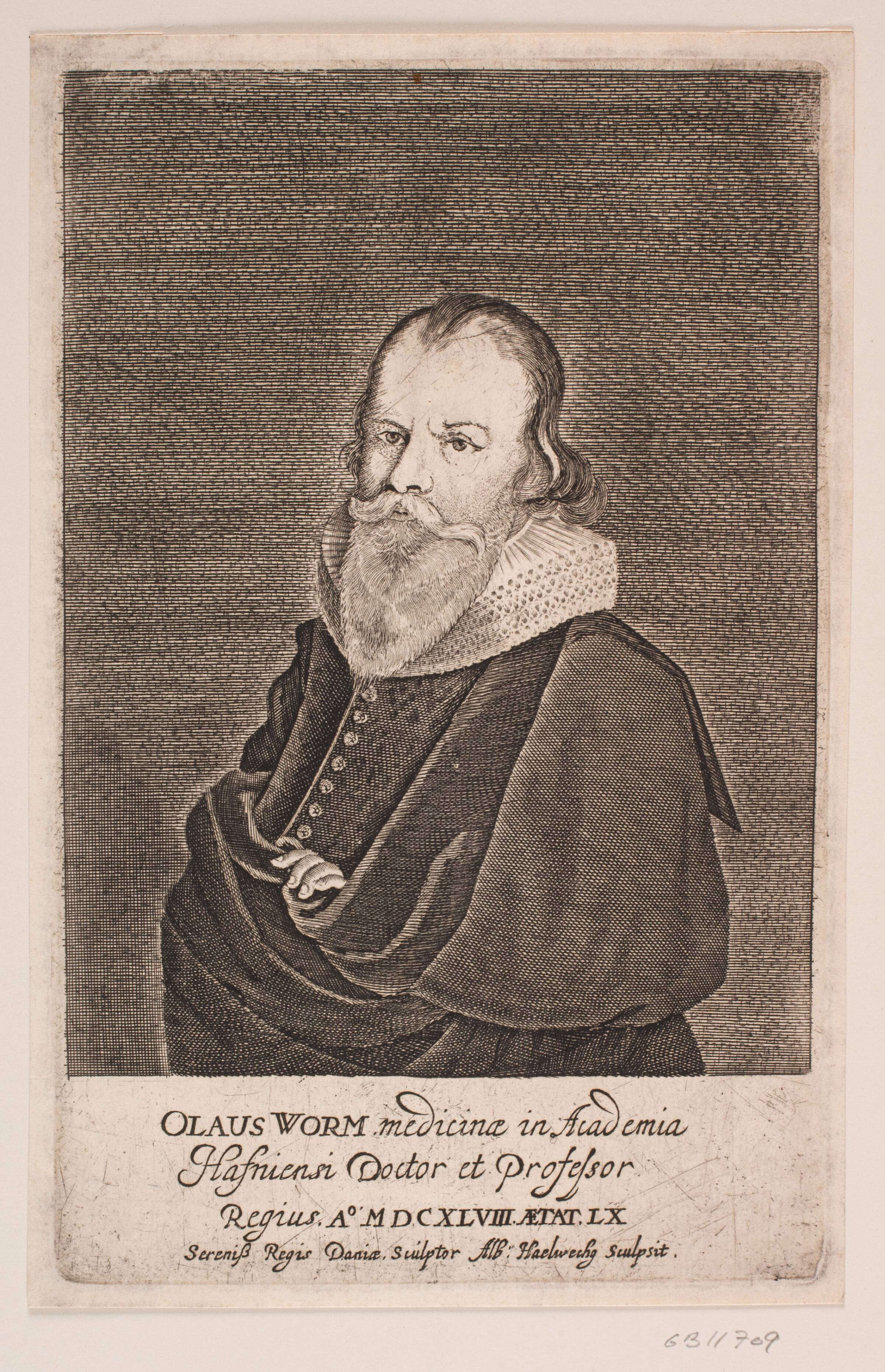 Ole Worm, Albert Haelwegh, 1648