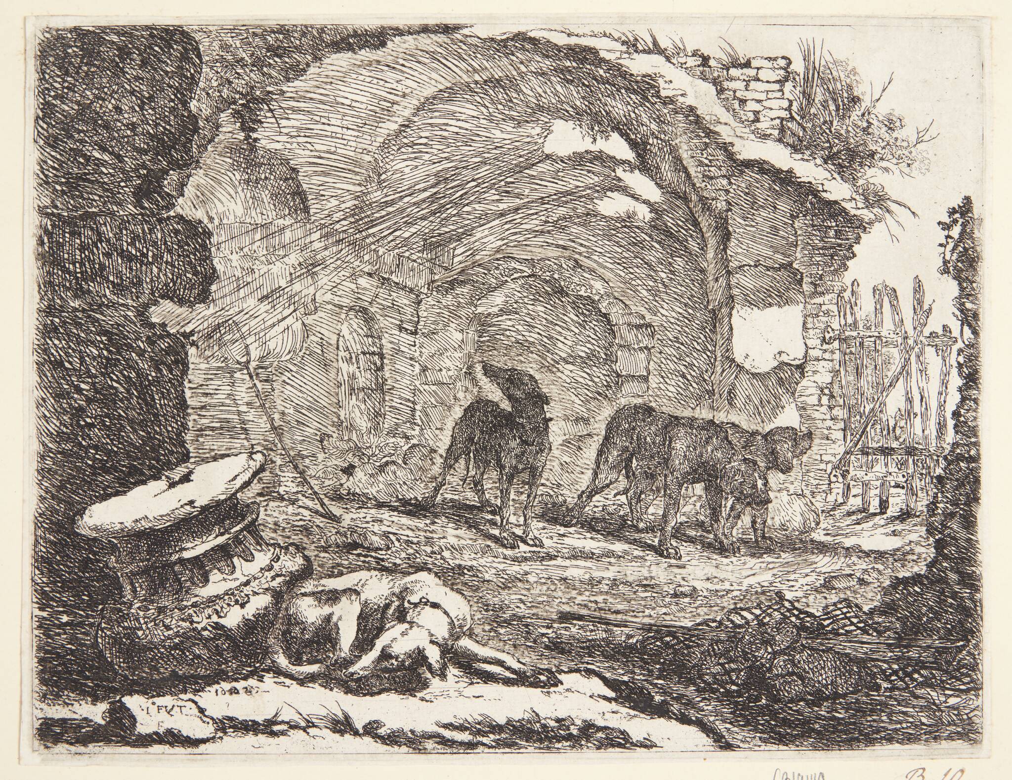 Hunde ved en ruin