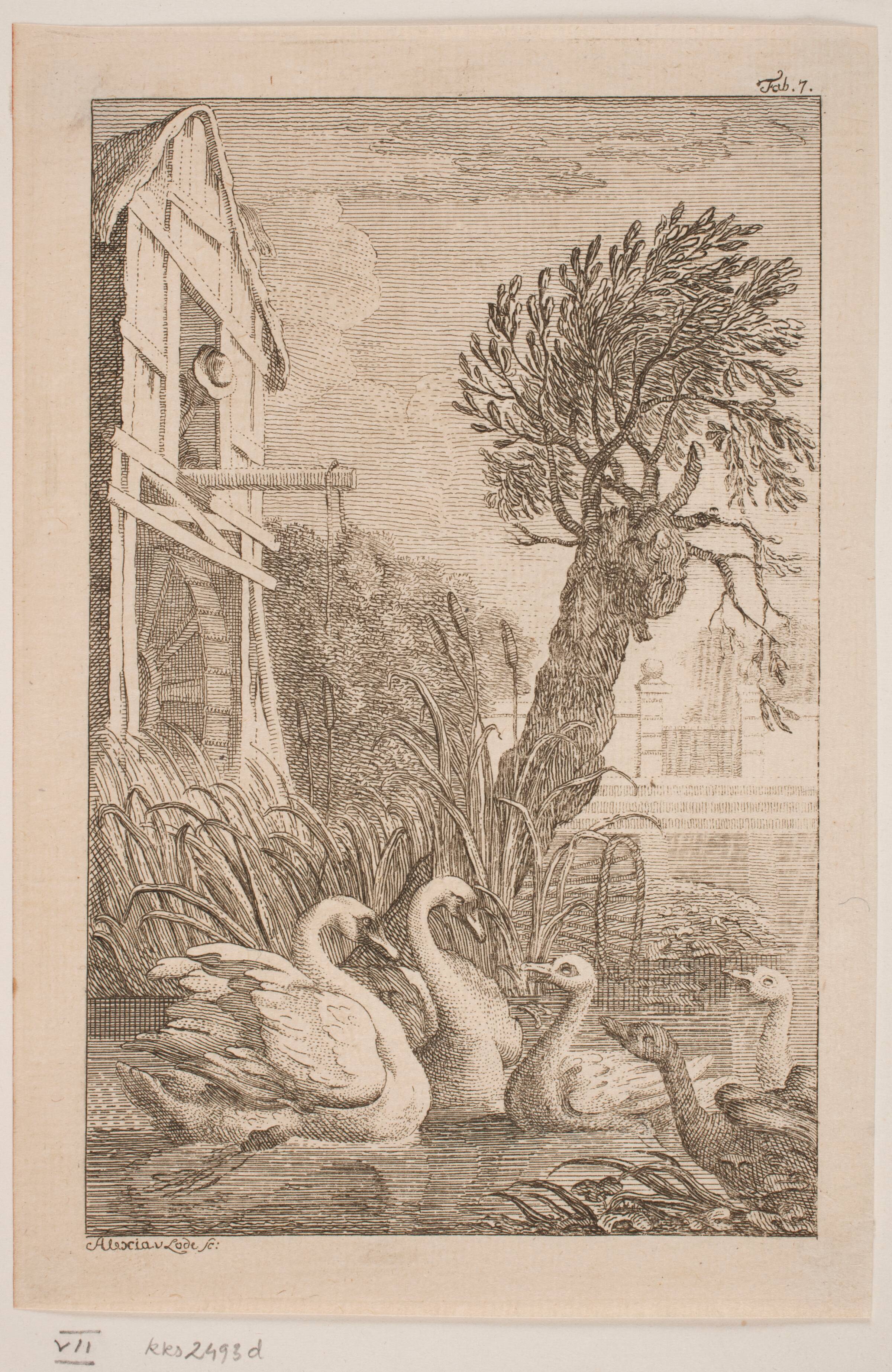 Gaasen og Svanen, Alexia de Lode, 1760