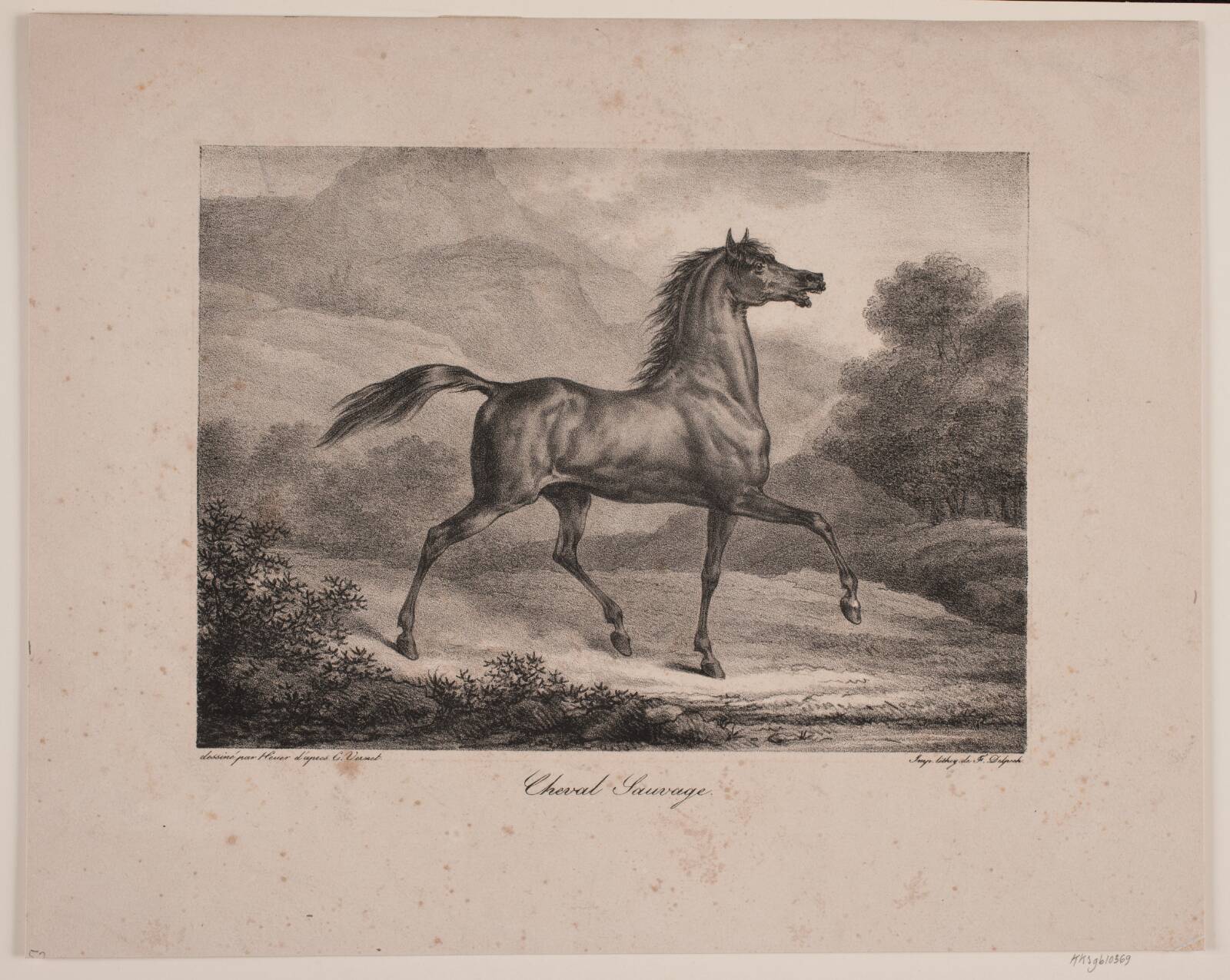 "Cheval Sauvage", WIlhelm Heuer, 1723-1823