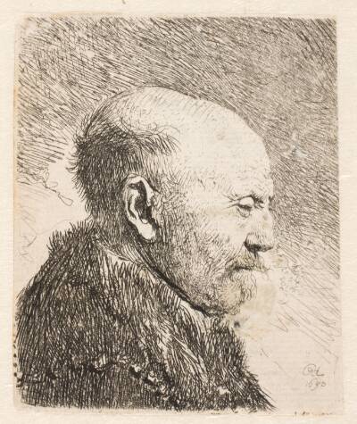 Skaldet mand i profil (Rembrandts fader?)