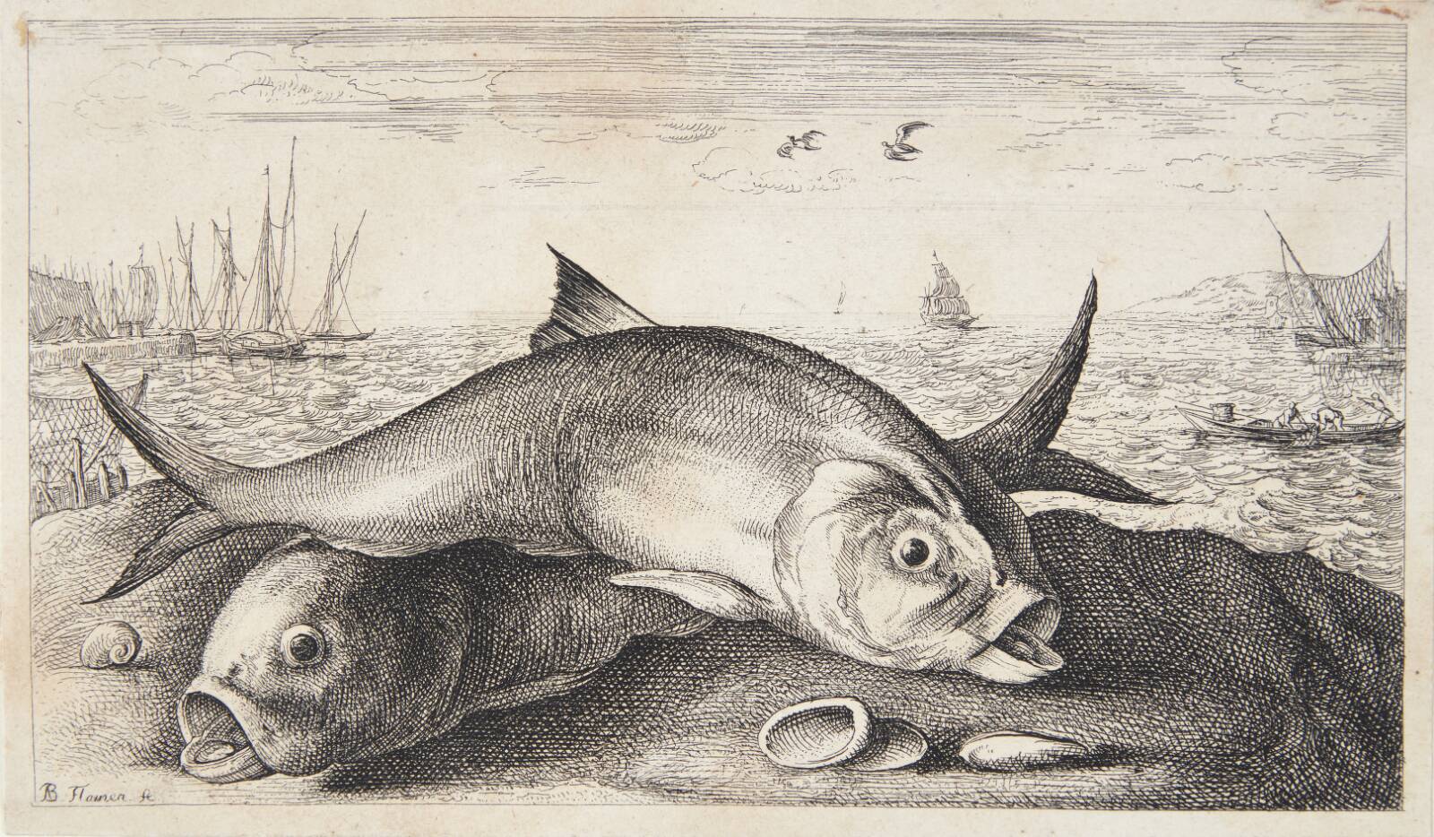 Stavsild (Alausa), Albert Flamen, 1620-1669