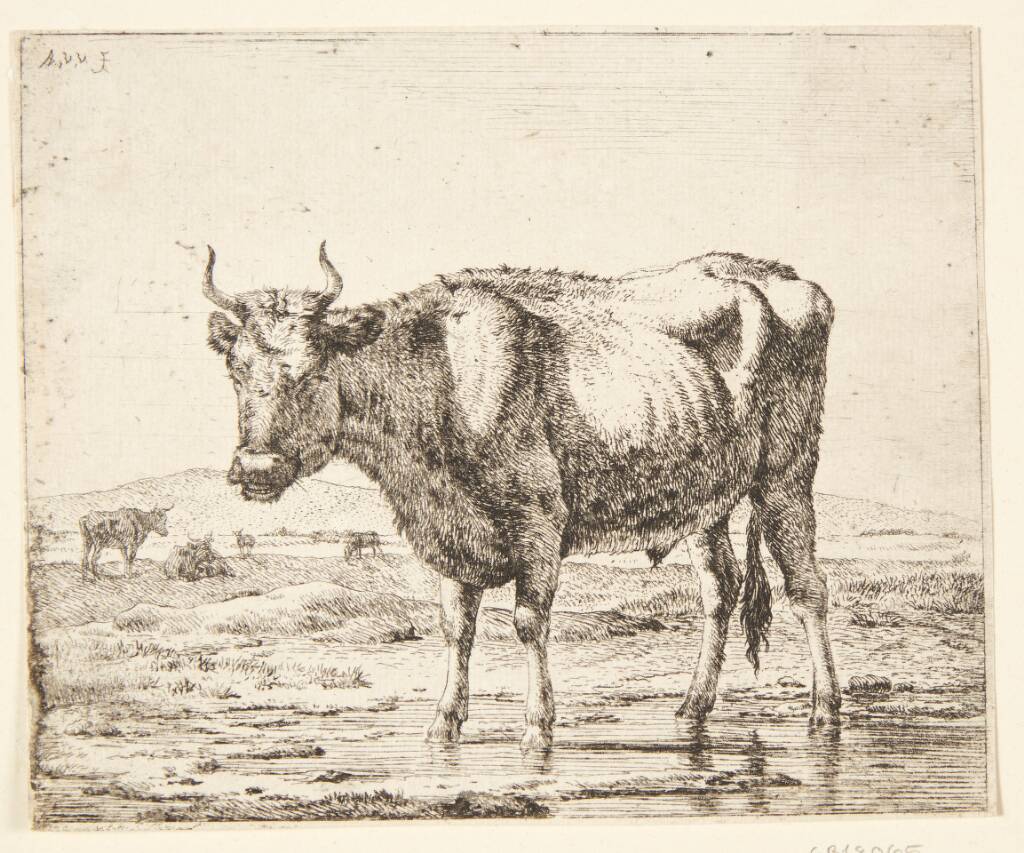 Tyr stående i vand, Adriaen van de Velde, 1636-1672