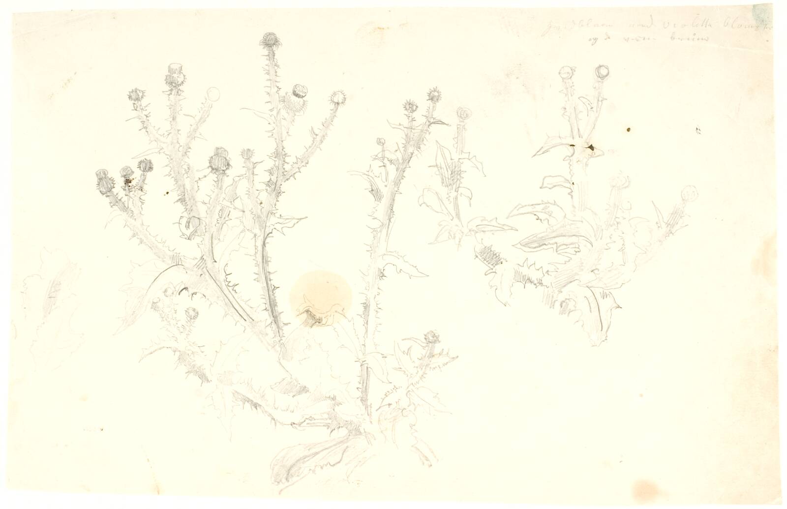 Studier af tidsler, Dankvart Dreyer, 1840-1849