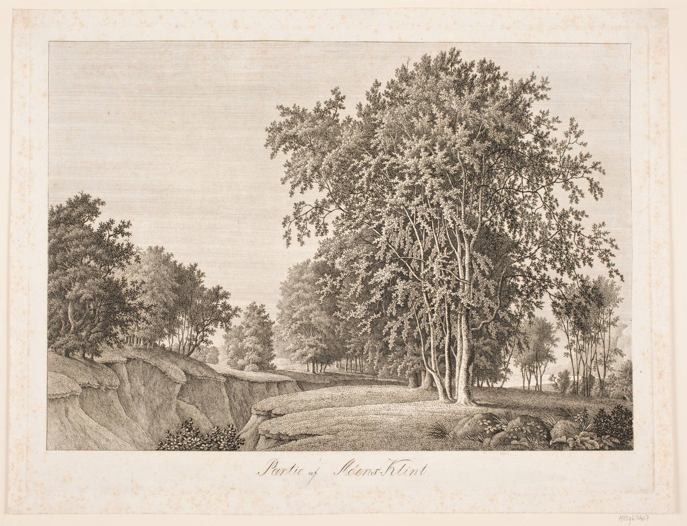 Partie af Møens Klint, Søren Henrik Petersen, 1788-1860