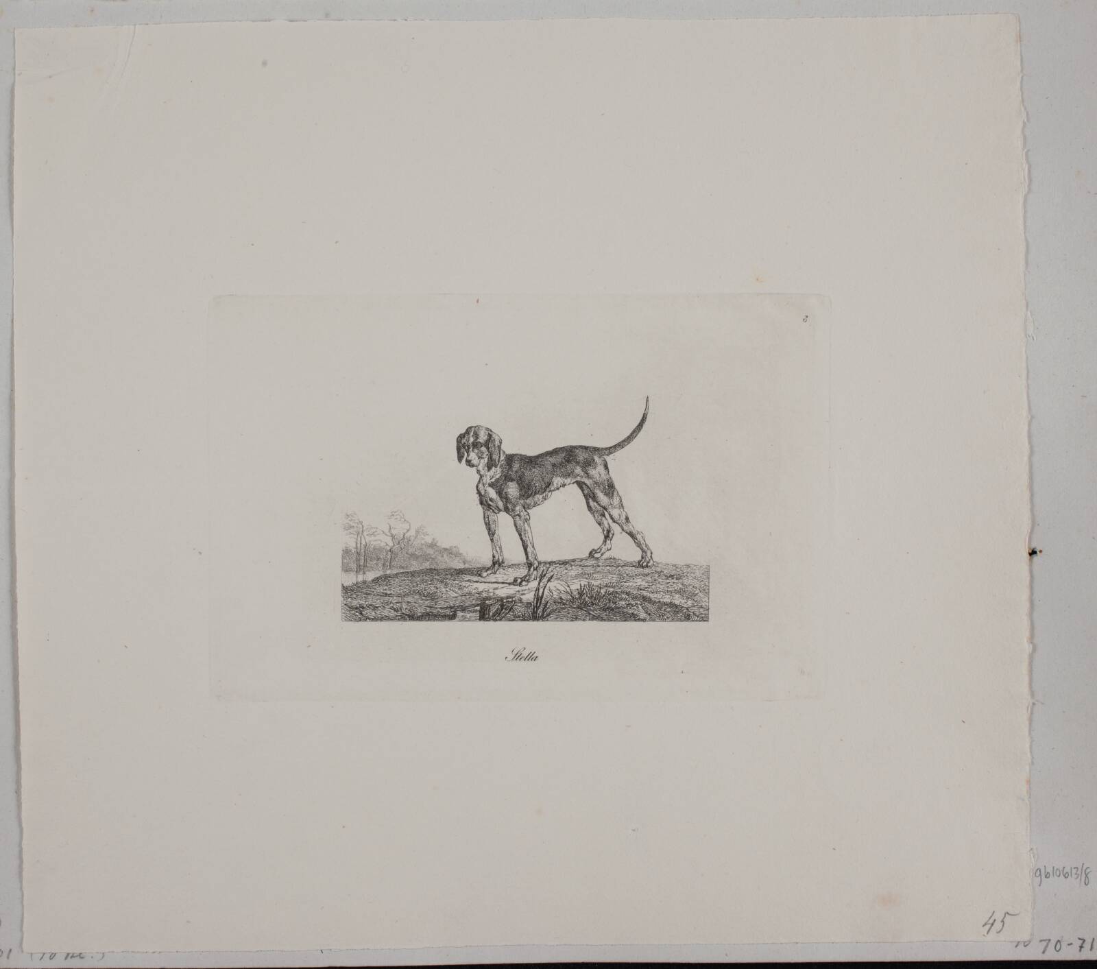 Stella, Христиан Давид Гебауэр, 1821